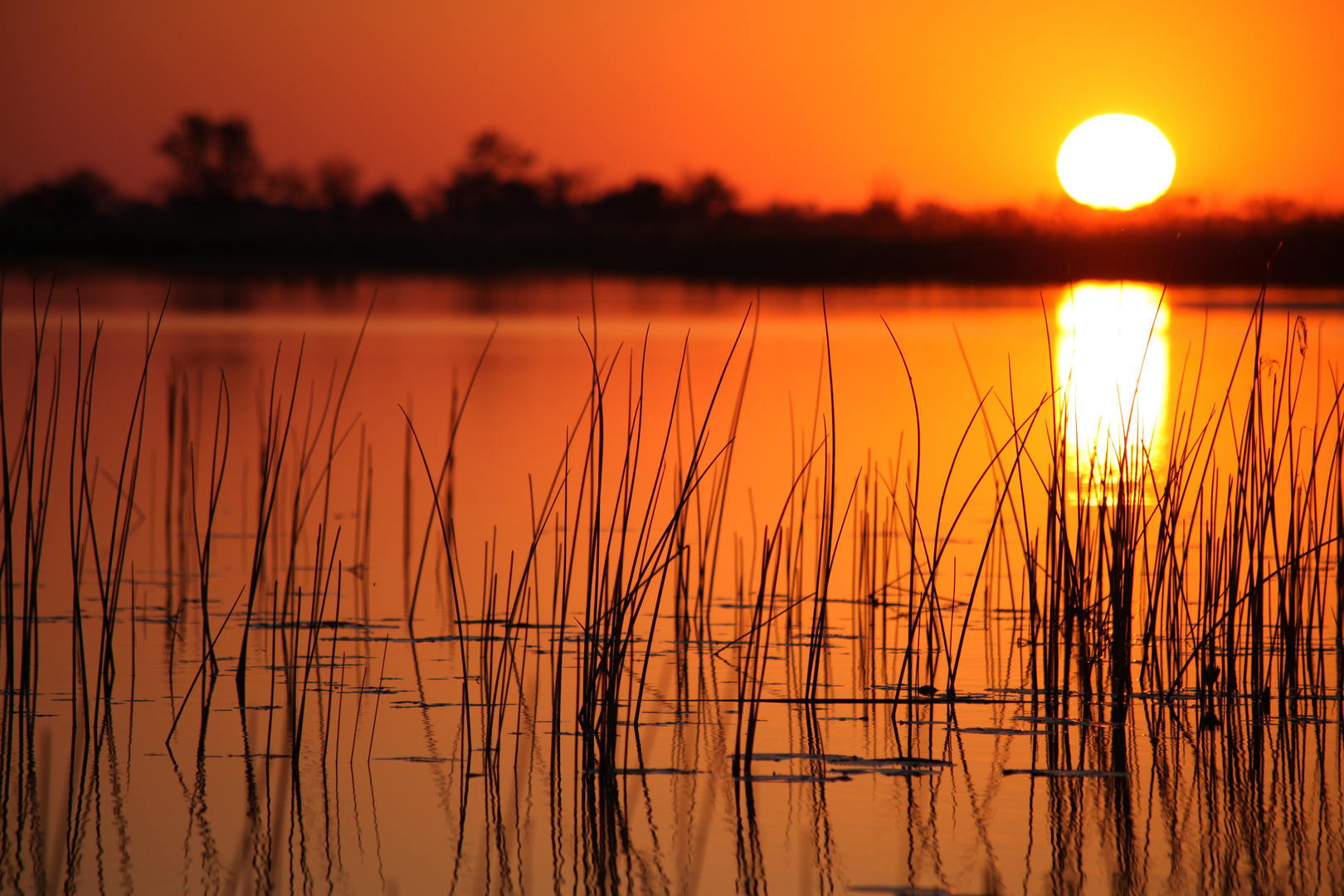 Sonnenuntergang