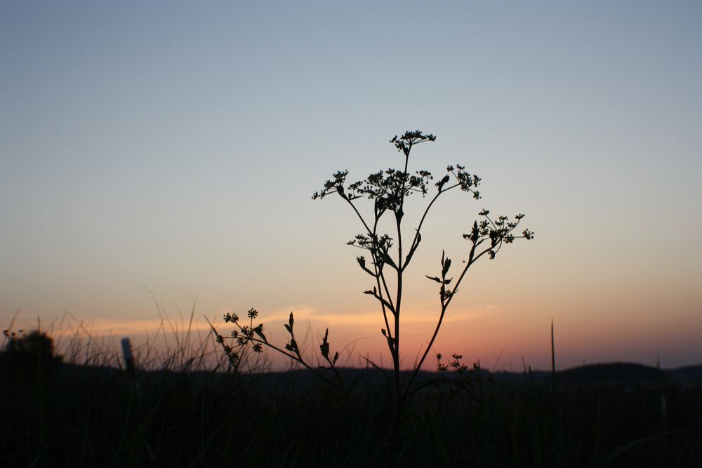 sonnenuntergang