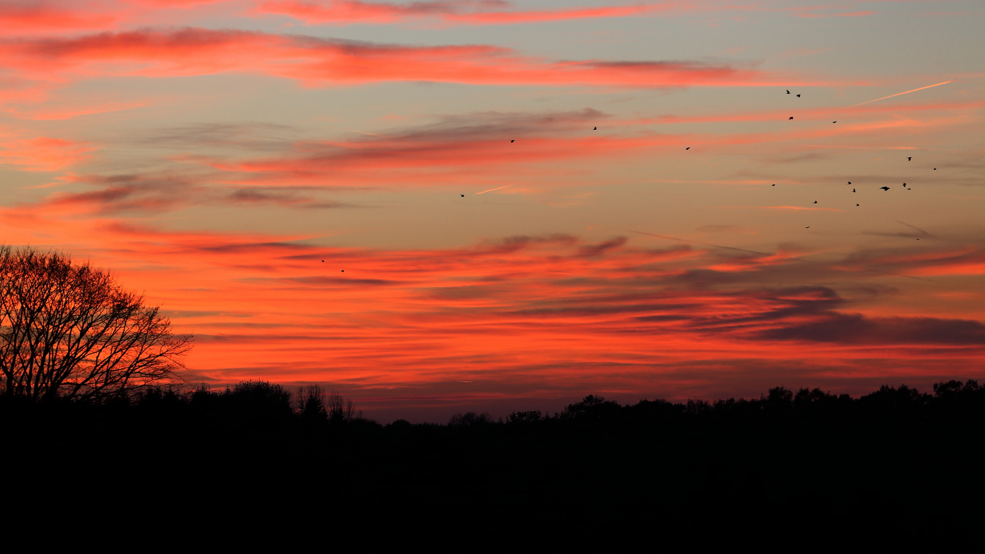 *** Sonnenuntergang ***