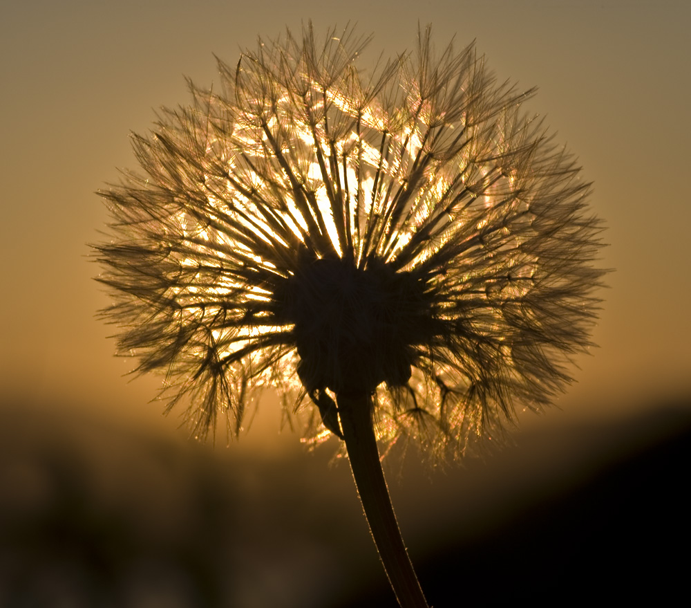 Sonnenuntergang