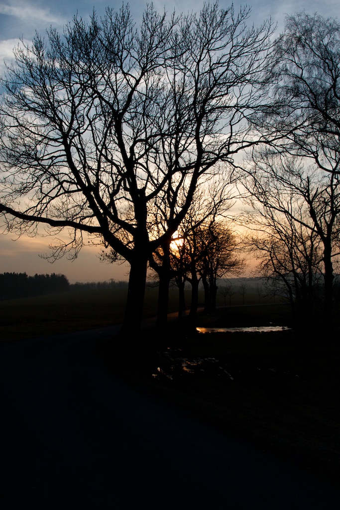 Sonnenuntergang der 2te