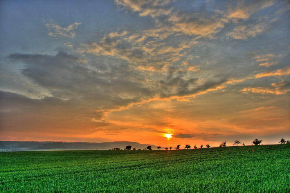 Sonnenuntergang der 50.000te (ca.)