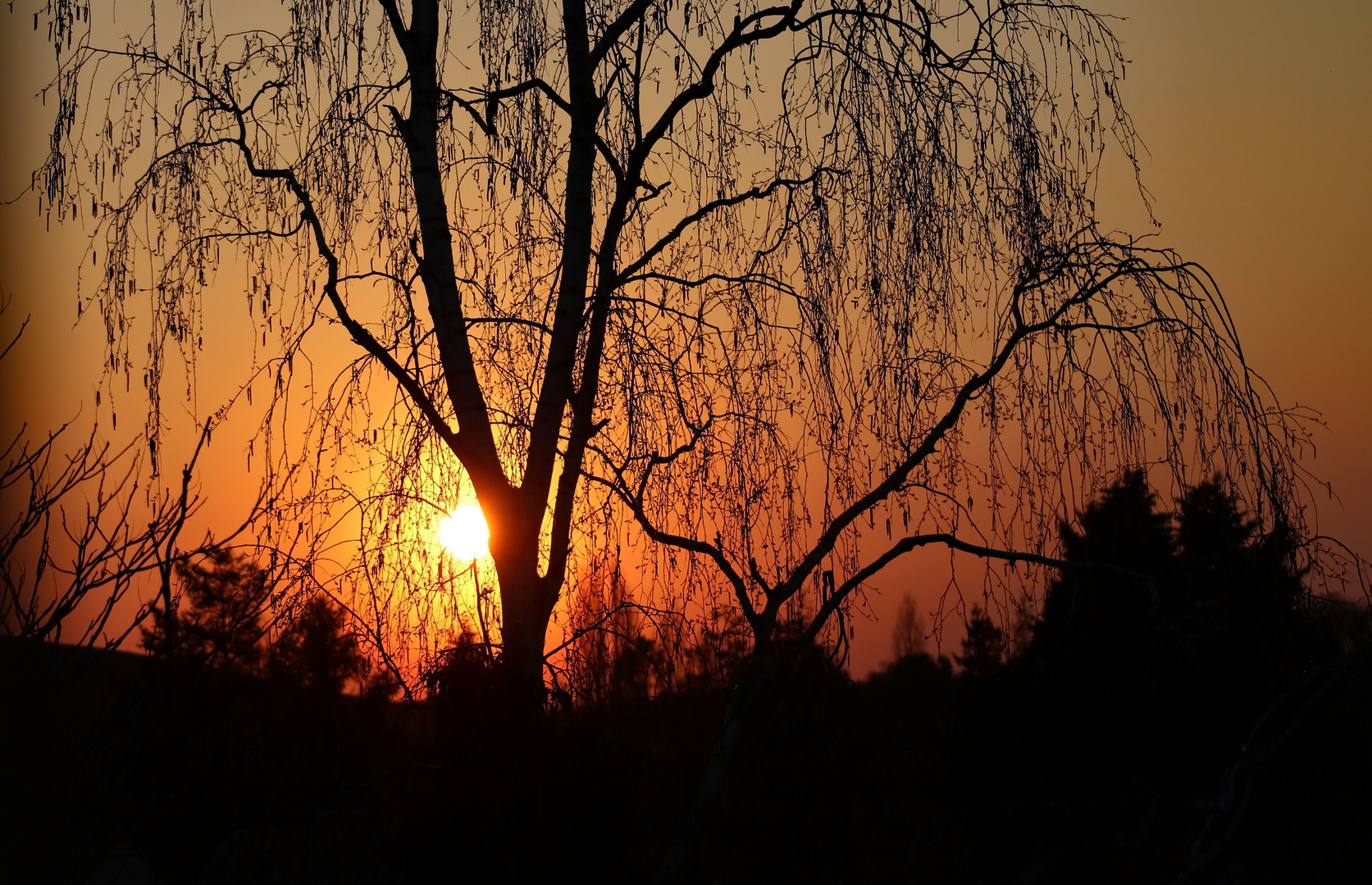 Sonnenuntergang der Erste