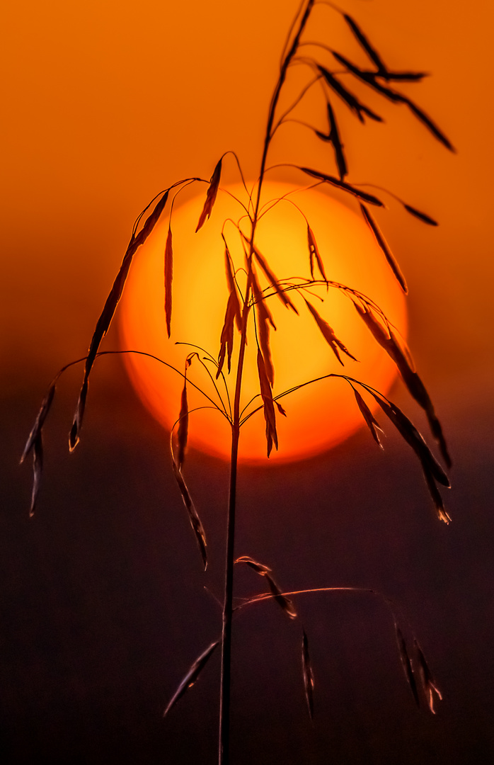 Sonnenuntergang