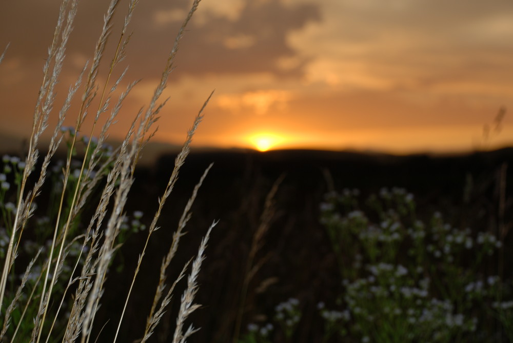 Sonnenuntergang die Hundertste