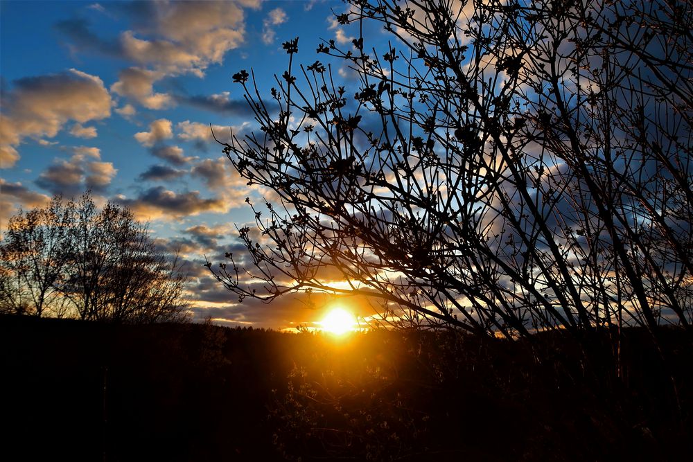 Sonnenuntergang, die Sonne schickt die Strahlen durchs Gehölz