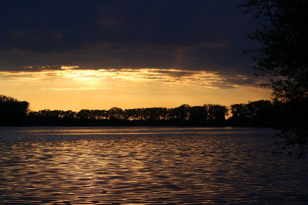 Sonnenuntergang Donau / Metten