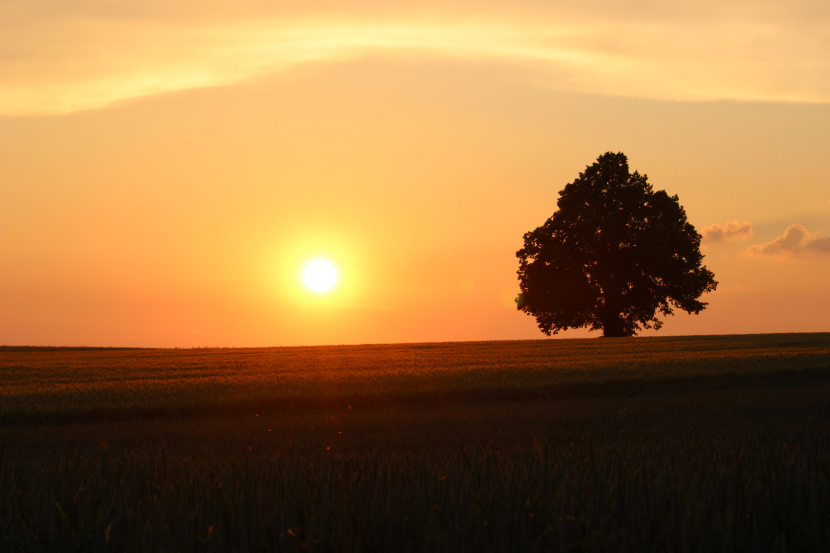 Sonnenuntergang Dornhaner Platte