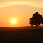 Sonnenuntergang Dornhaner Platte