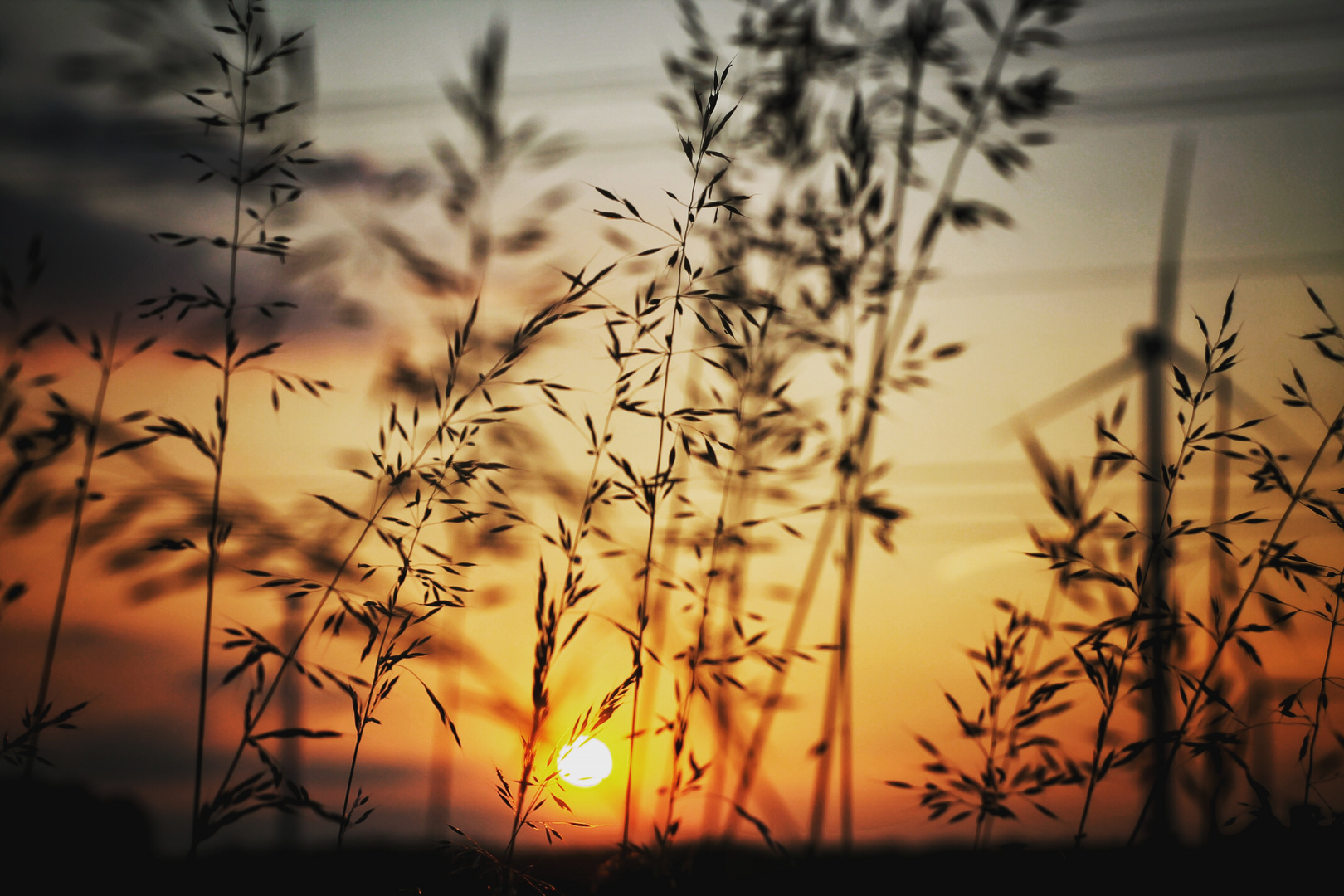 Sonnenuntergang Dortmund Persebeck