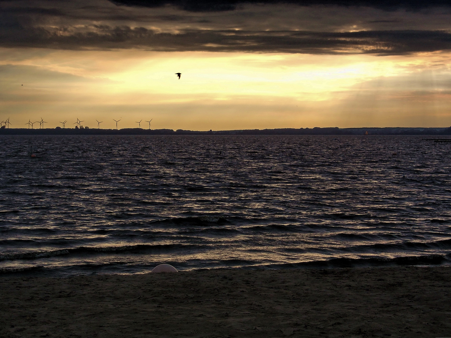 Sonnenuntergang Dümmersee