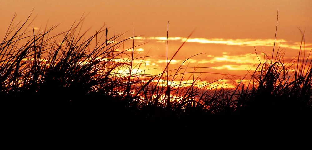 Sonnenuntergang durch die Dünen