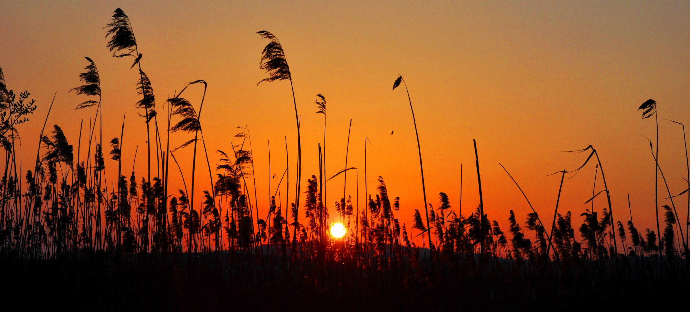 Sonnenuntergang durch unsichtbare Aschewolke