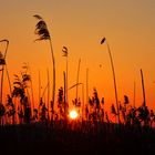 Sonnenuntergang durch unsichtbare Aschewolke