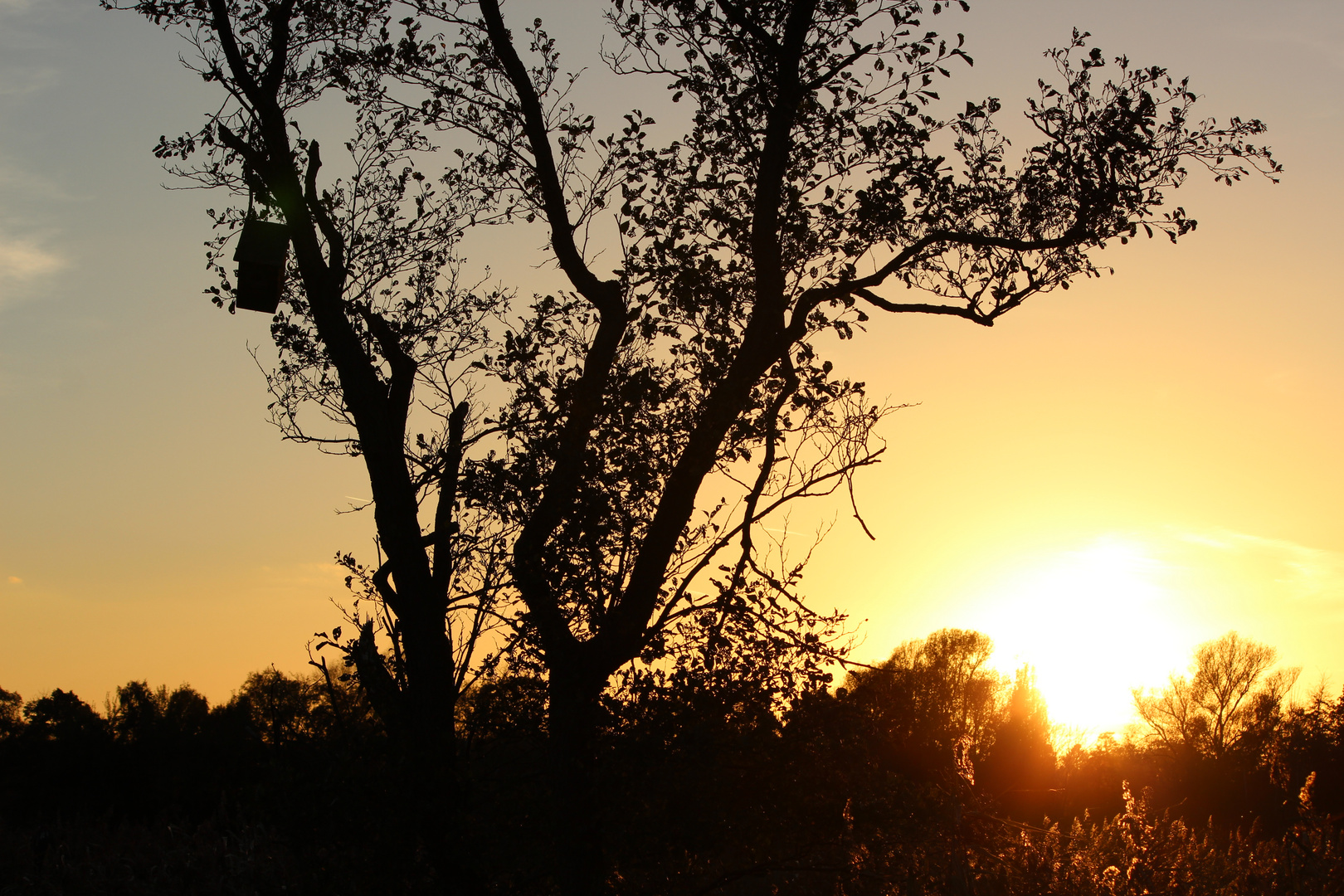 Sonnenuntergang