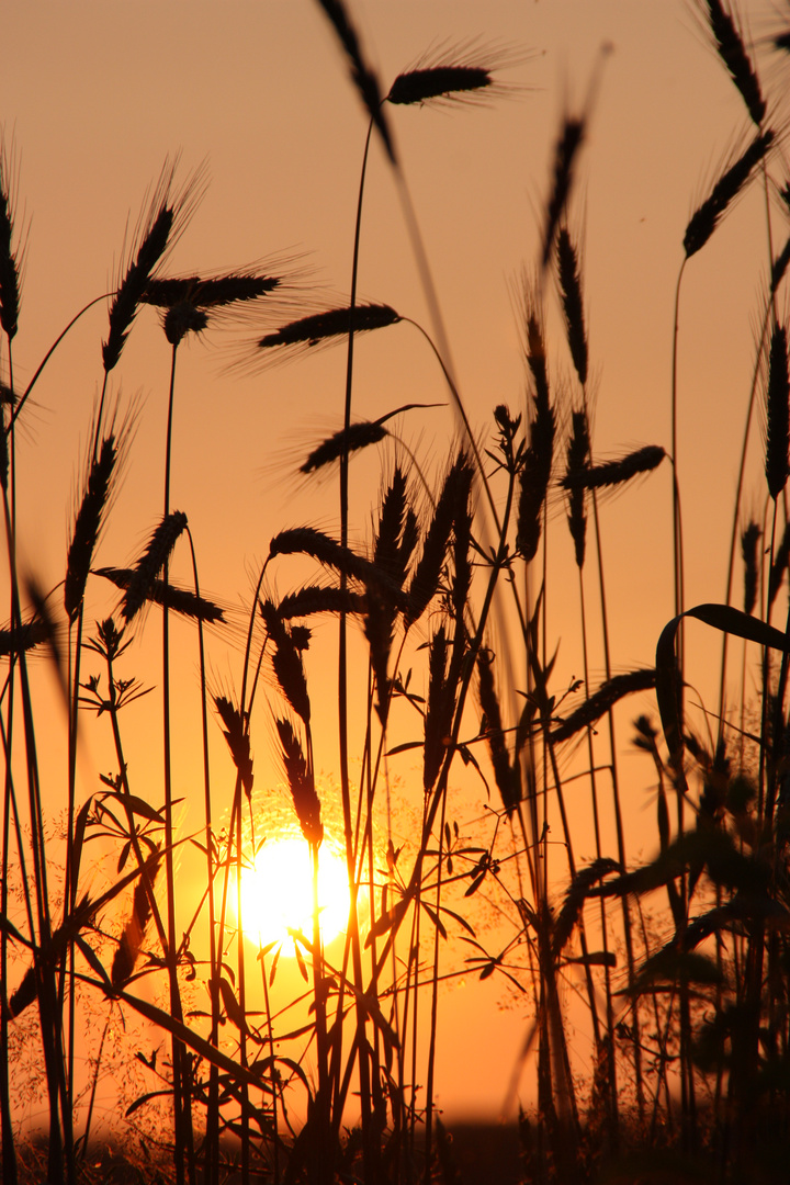 Sonnenuntergang