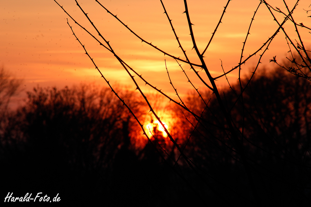 Sonnenuntergang