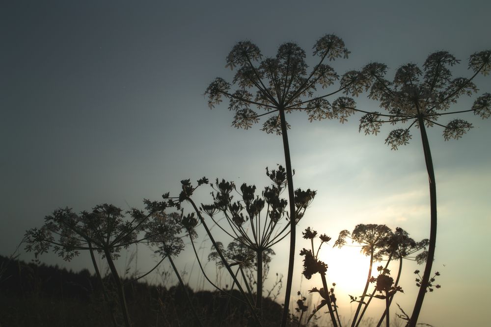 Sonnenuntergang