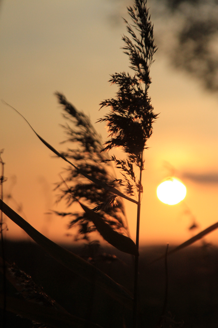 Sonnenuntergang