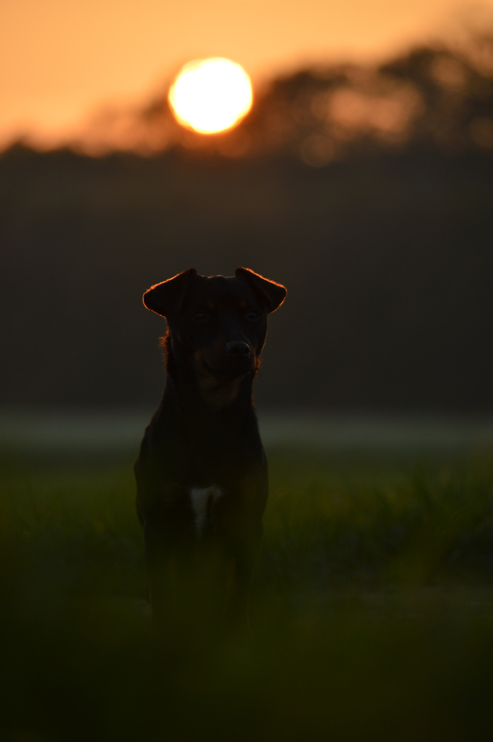 Sonnenuntergang :)