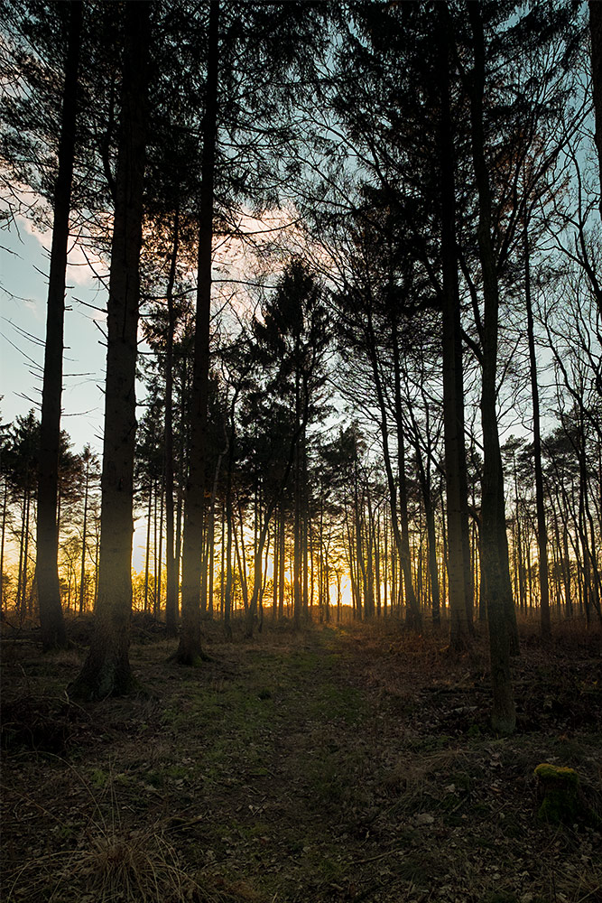 Sonnenuntergang