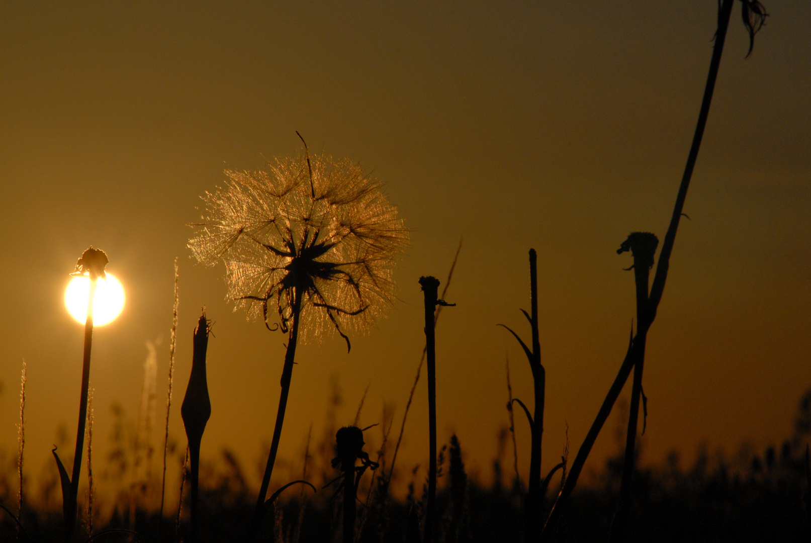 Sonnenuntergang