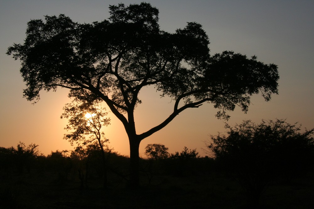 Sonnenuntergang