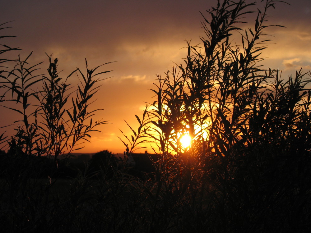 Sonnenuntergang