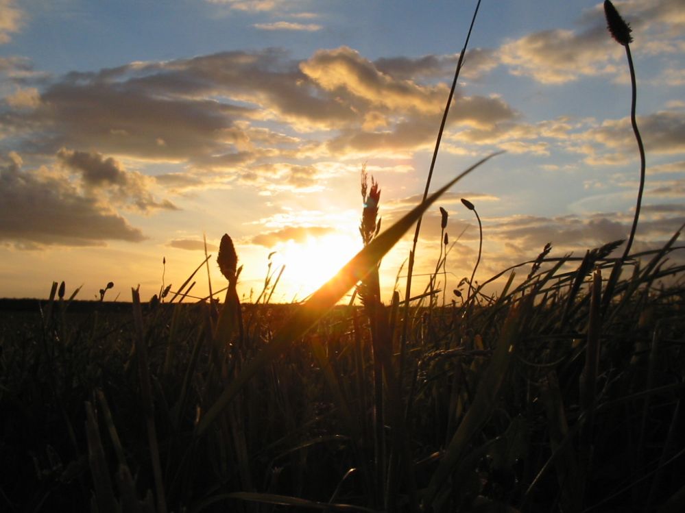 Sonnenuntergang