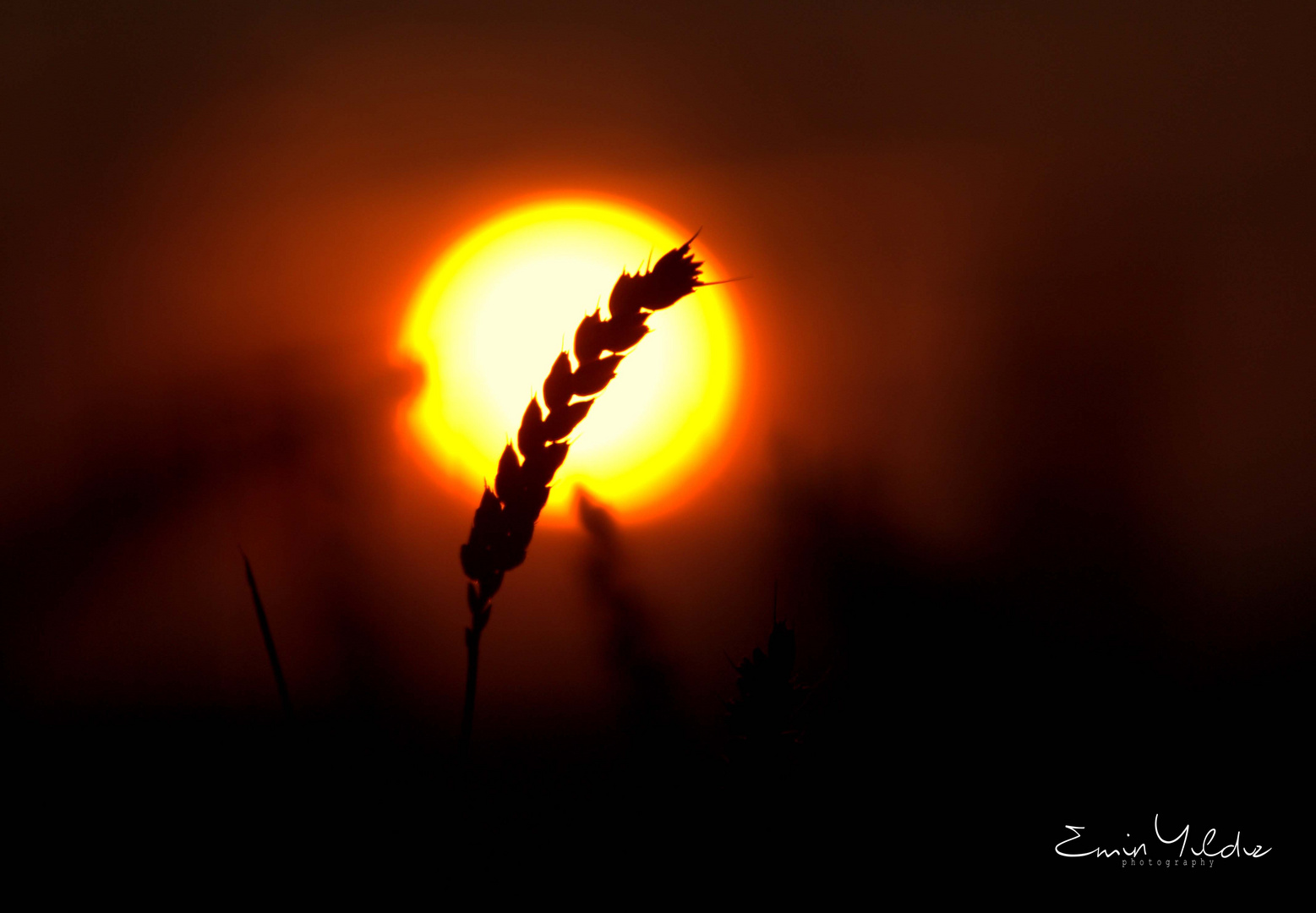 Sonnenuntergang