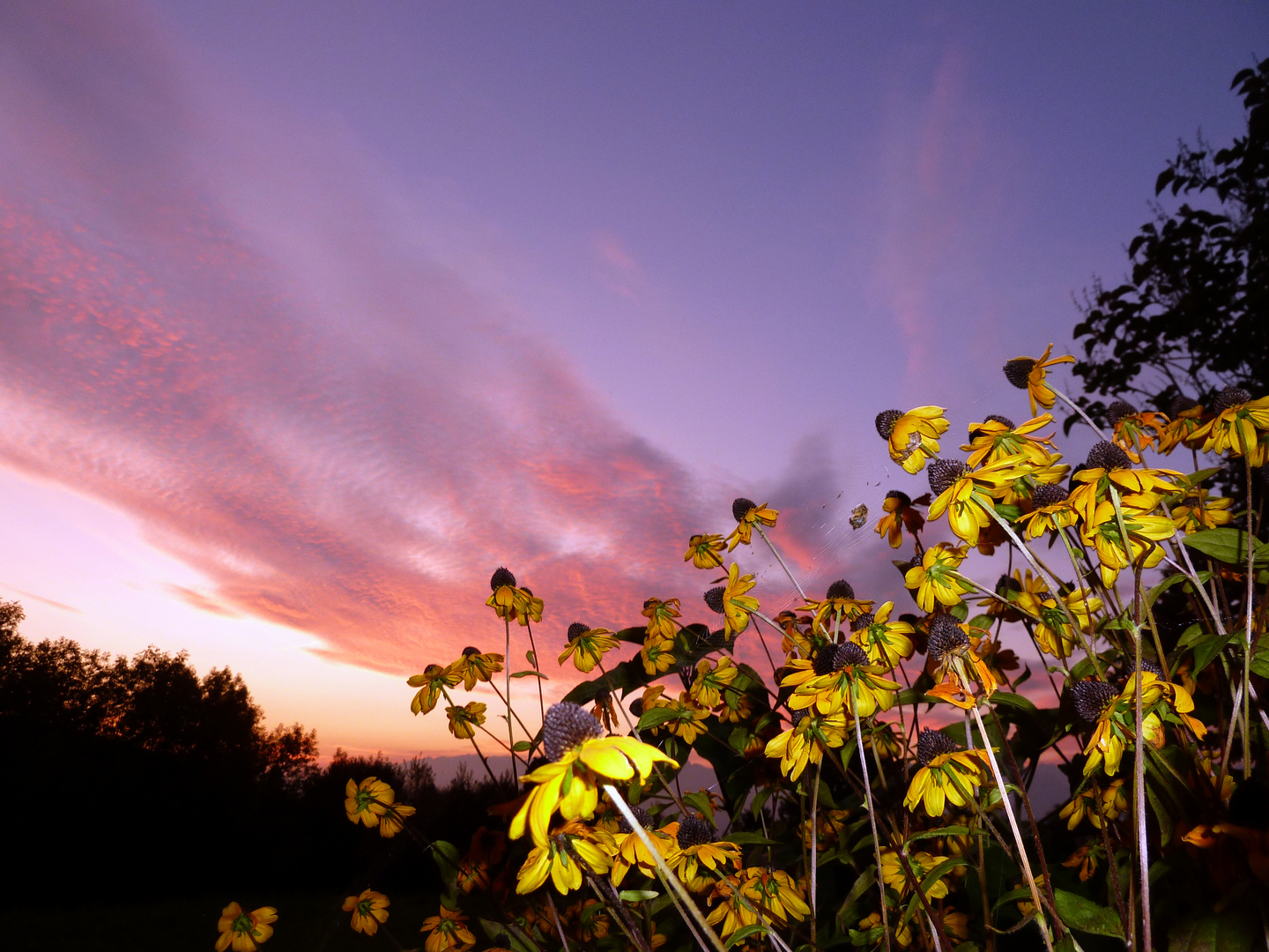 Sonnenuntergang