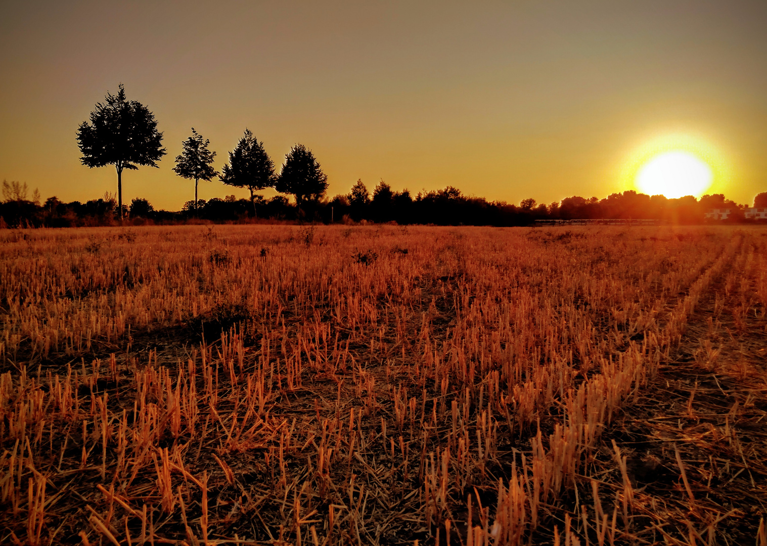 Sonnenuntergang 