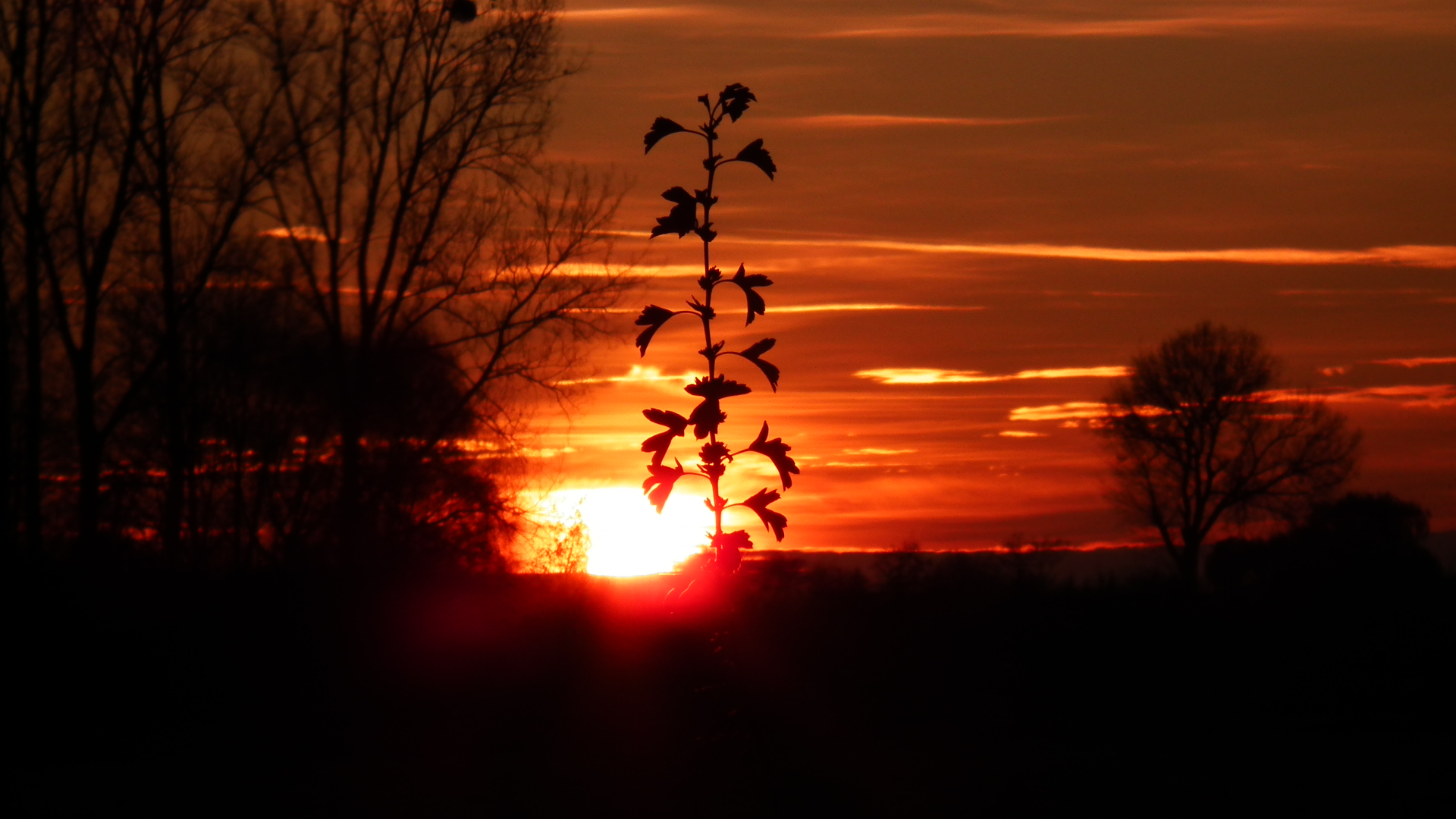 Sonnenuntergang