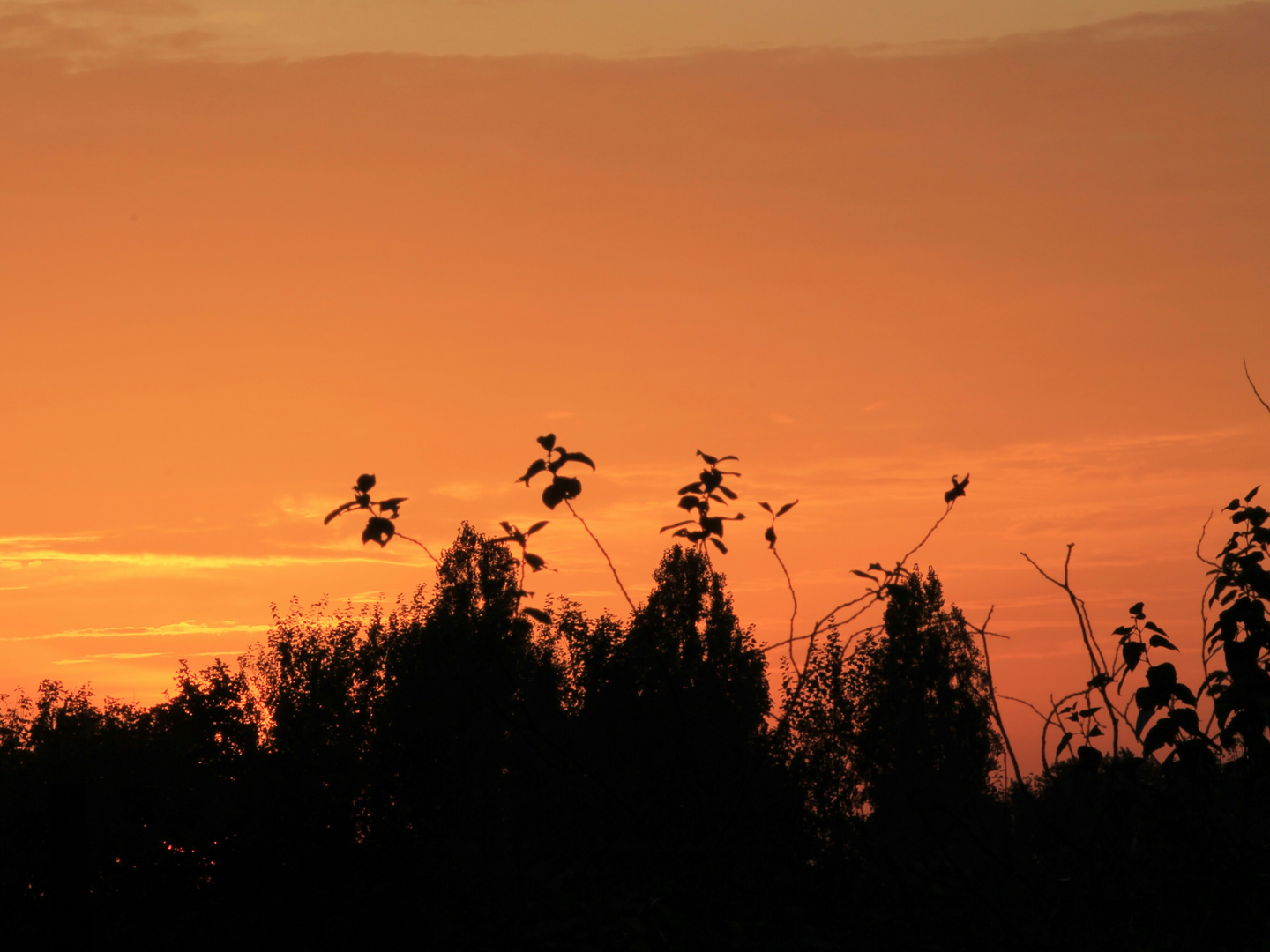 Sonnenuntergang