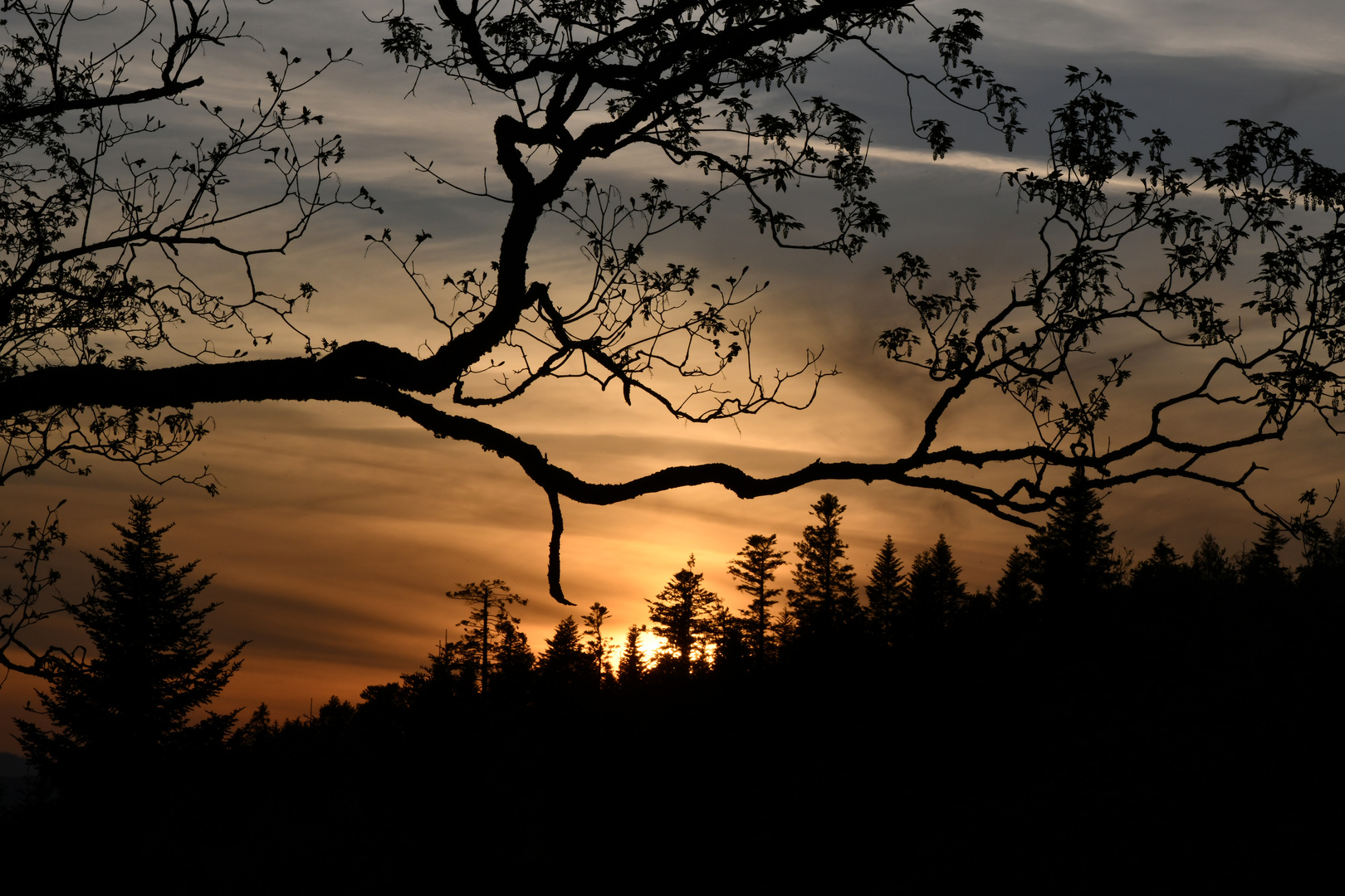 Sonnenuntergang Eigenthal