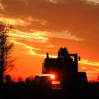 Sonnenuntergang: Ein guten Rutsch ins neue Jahr 2014...............