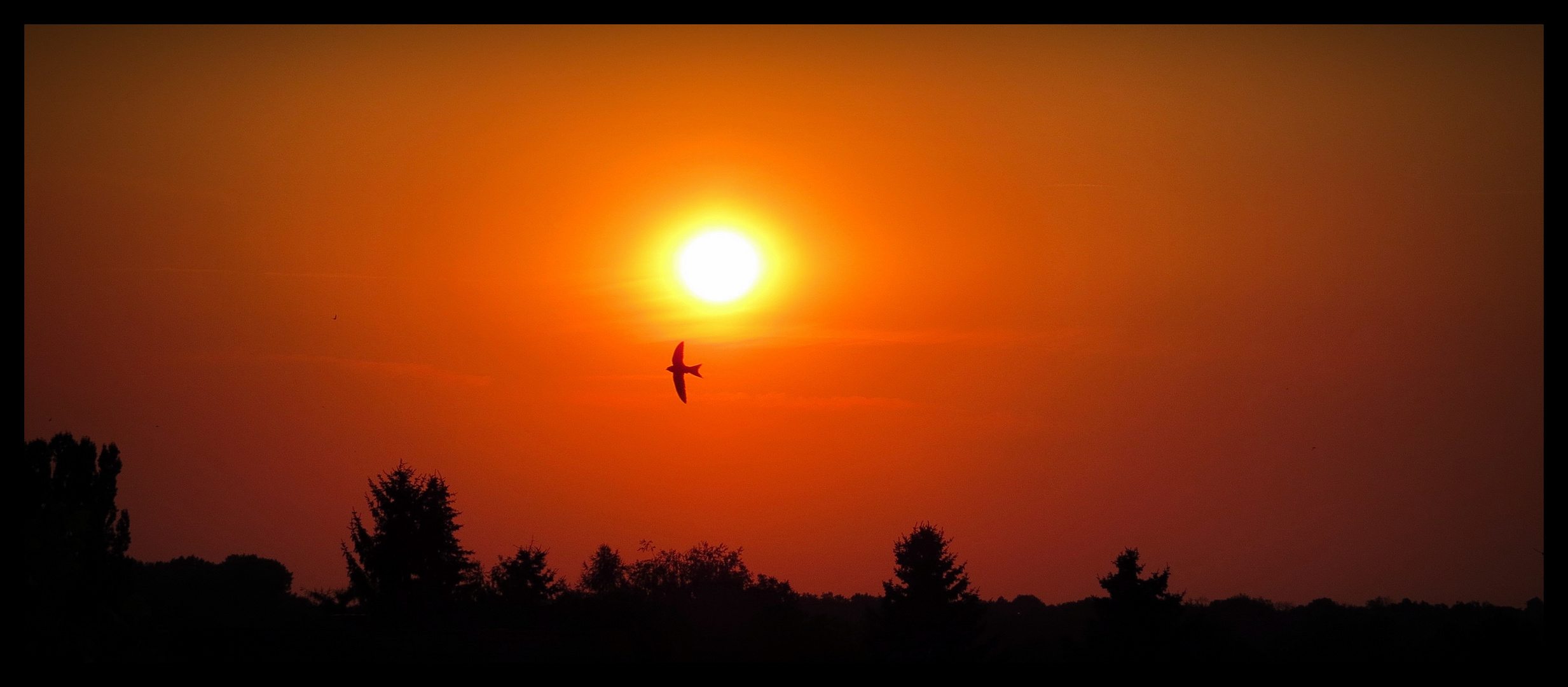 Sonnenuntergang - "Ein heißer Tag geht zu Ende"