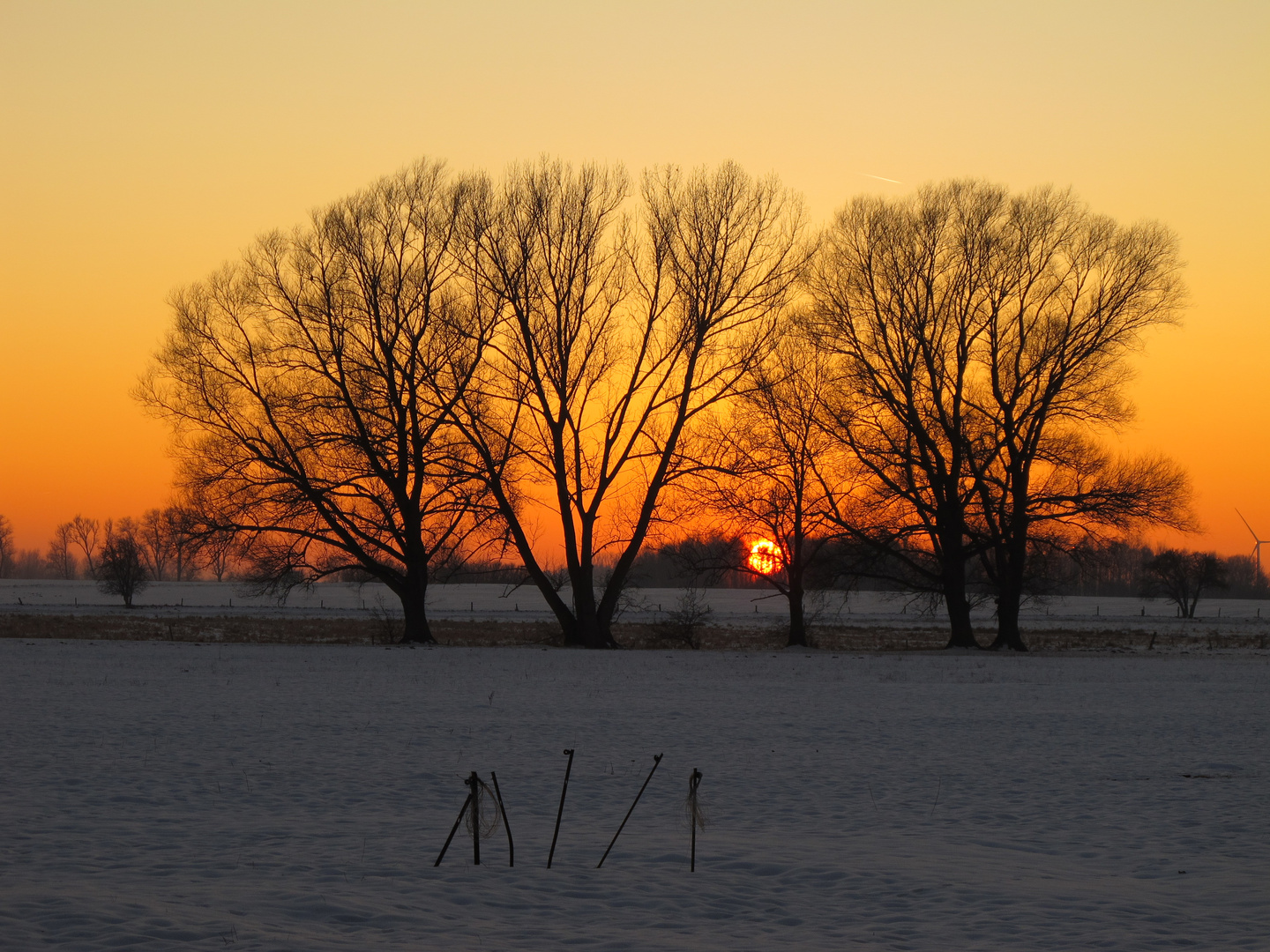 Sonnenuntergang ein Winter in Bechlin