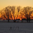 Sonnenuntergang ein Winter in Bechlin