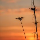 Sonnenuntergang: eine Liebeserklärung der Natur an den Menschen.