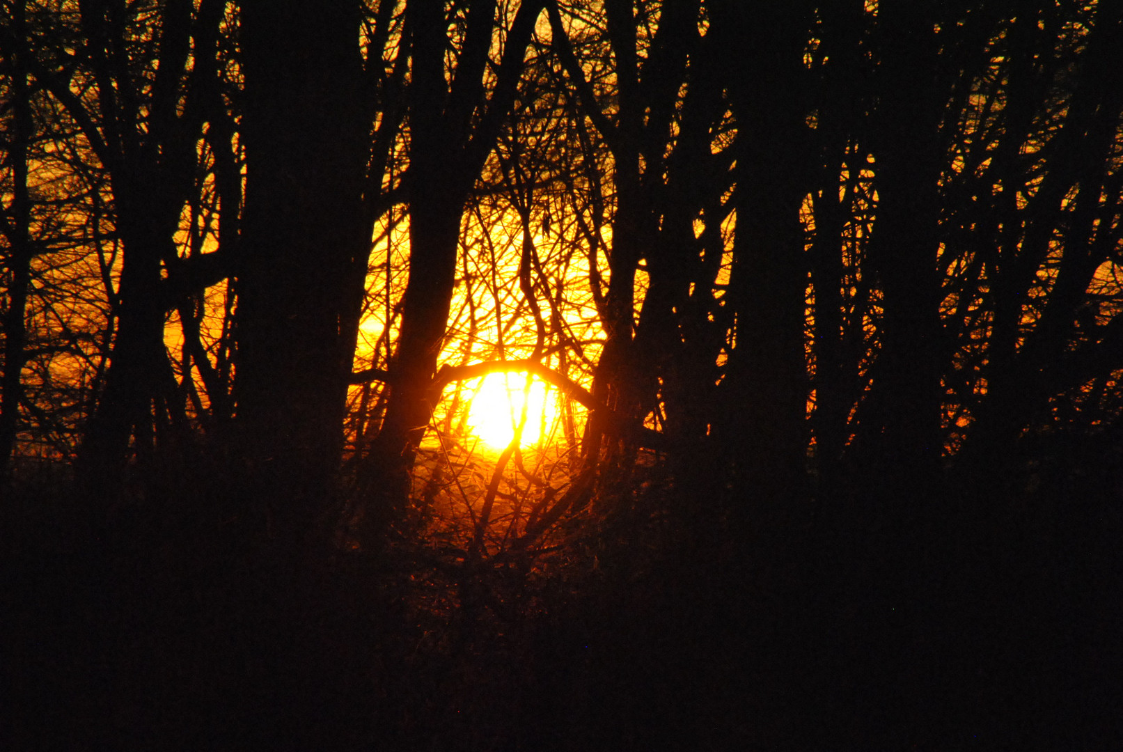 Sonnenuntergang einmal anders