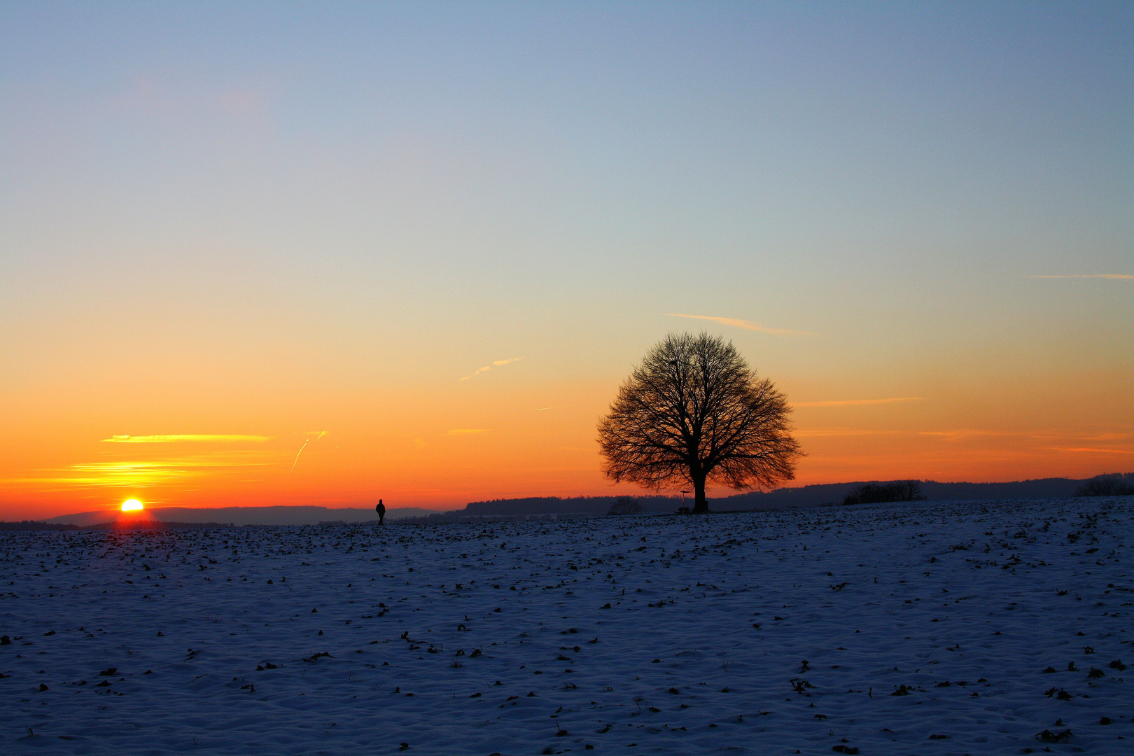 Sonnenuntergang - Einsamer Baum