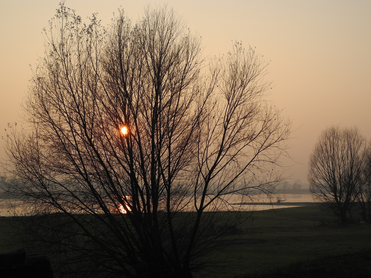 Sonnenuntergang Elbe