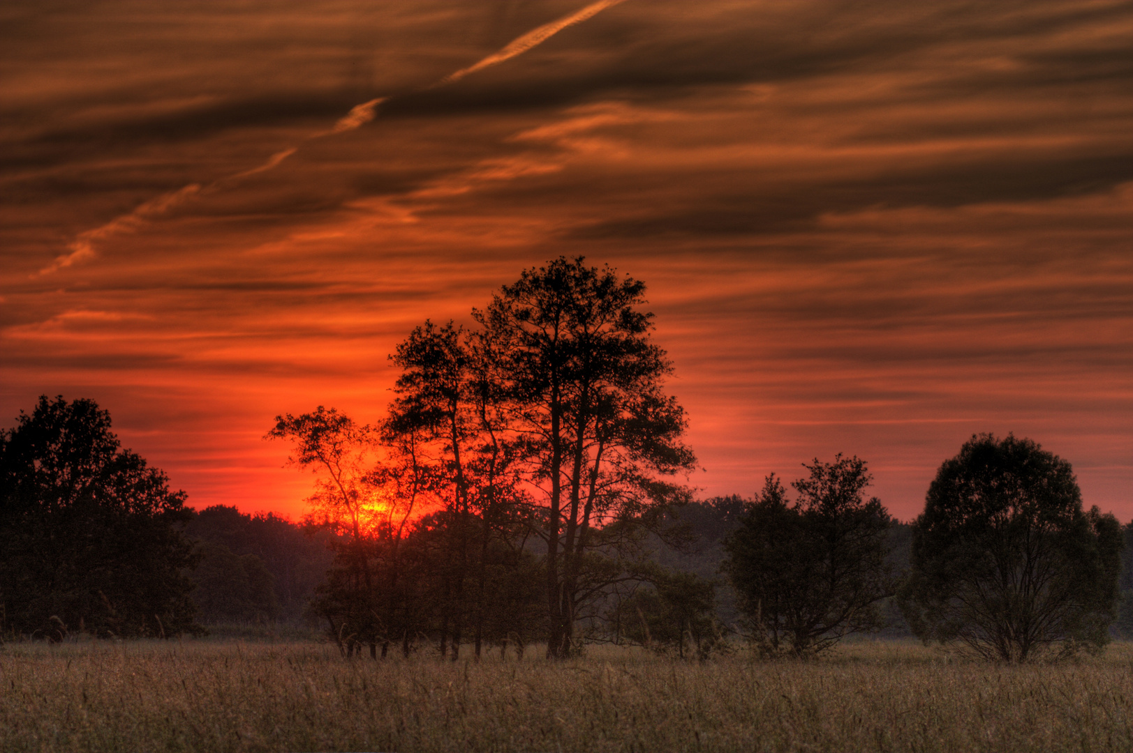 Sonnenuntergang Erlen Eschen Wald Wanderung