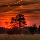 Sonnenuntergang Erlen Eschen Wald Wanderung