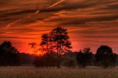 Sonnenuntergang Erlen Eschen Wald Wanderung