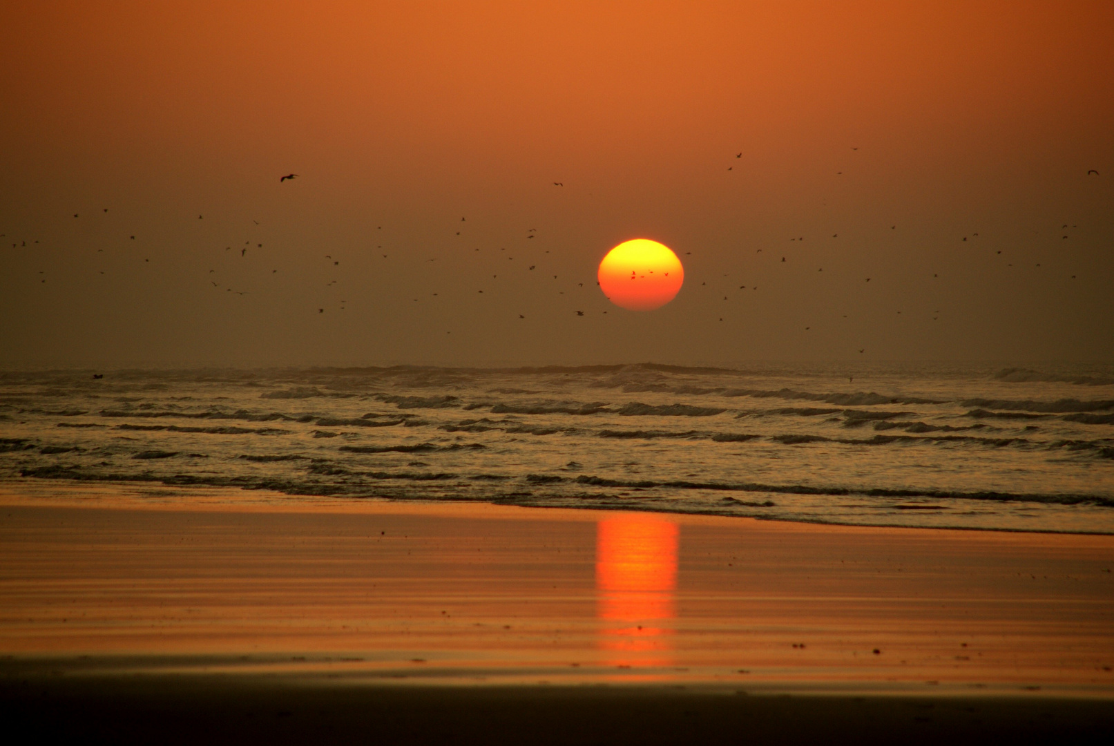 Sonnenuntergang-Essaouira