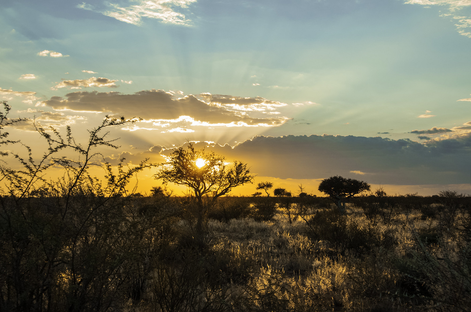 Sonnenuntergang-Etosha