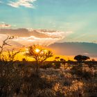 Sonnenuntergang-Etosha