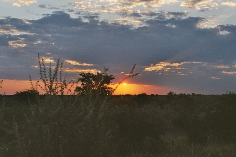 Sonnenuntergang Etosha Namibia